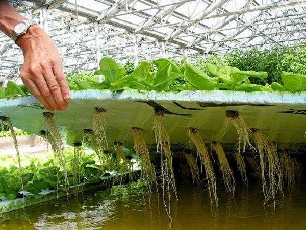 ������� ������������: ��� ����� �������� ����� ��� �������� ��������