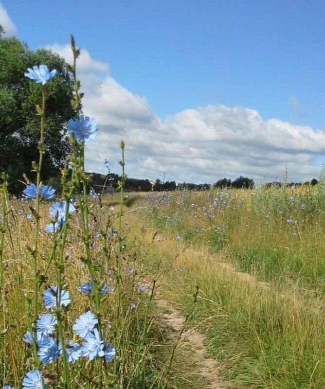 ����� ������ � �������: ��� ���������� ������� � ���������� �����