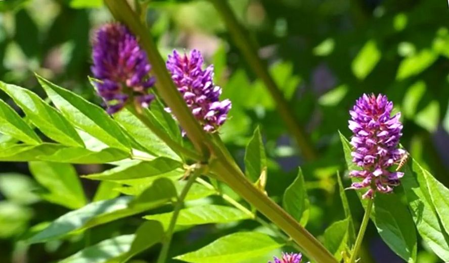 �������: ������������ ������ � ���������� �������� �������