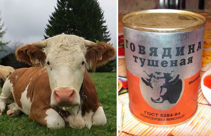 ������ ���� ������ ����� �������� ��������, � �� ����������