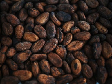 Цены на какао-бобы обновляют антирекорды