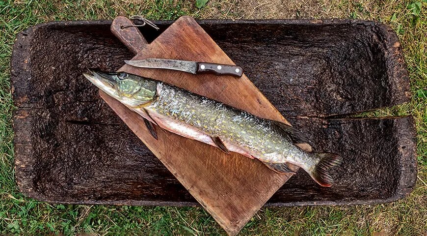 Искусство чистки щуки: советы и рецепты