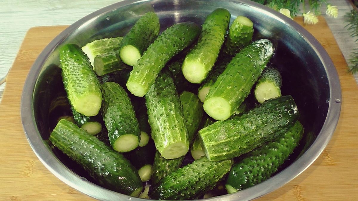 ������ ������������ ������: ��� �������������� �������, ������� ������� ���� ������������� � �������� ����������