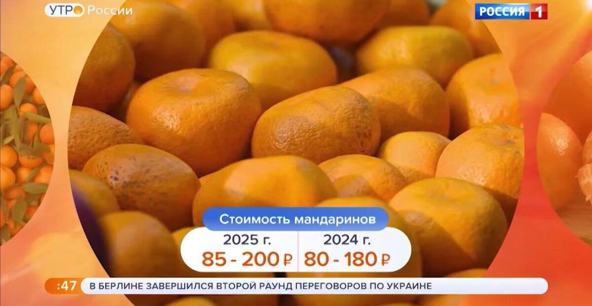 ��������� ���������� �������� ����������: ��� ����� ����� �����������