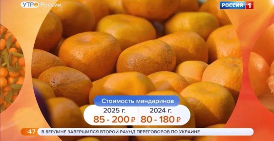 ��������� ���������� �������� ����������: ��� ����� ����� �����������