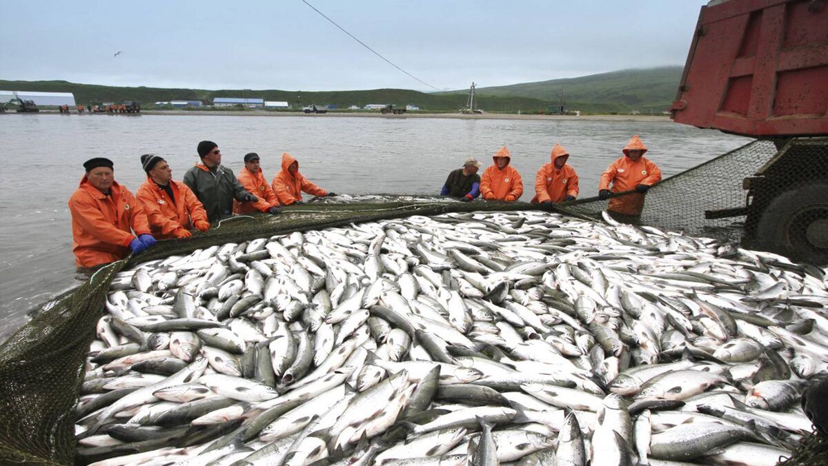 ������ � ������� ������ ������� ����� ����: ������ ������� ��������