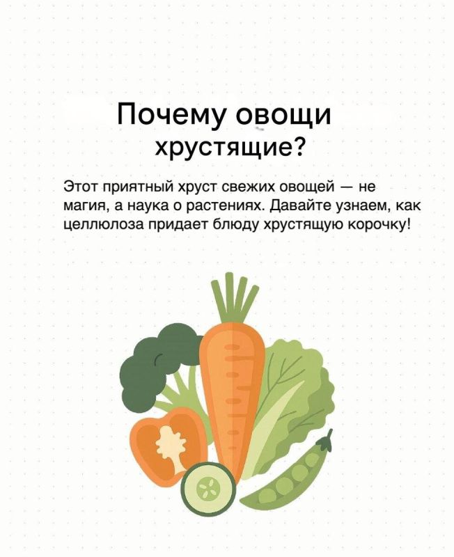 ���� � ��������: ������� ��������� ������