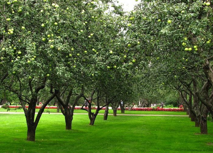 ����� ��������: ����� �� ������ �� ������� ��������?