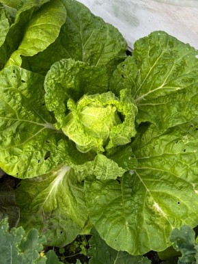 ��� ���������� ���������� � ����������� �� �������: ������� � ����������� ������