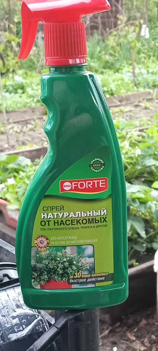 Как натуральный спрей «Bona Forte» спас дачный урожай от вредителей