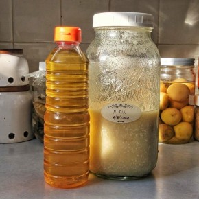 Погружение в кулинарный мир Японии: мирин и осадок саке