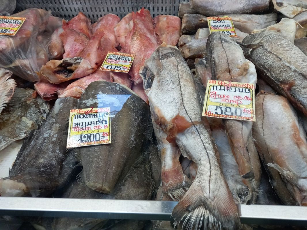 Подорожание рыбы: что происходит с ценами на море ваших любимчиков