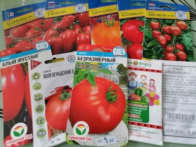 ��� ������� ��������: ���� � �������� �� �������� � �������� �������