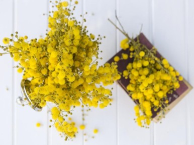 Натуральная защита от клещей: как настой пижмы помогает в борьбе с паразитами