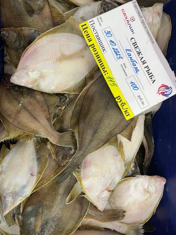 ������� �� ���������: ������� � �������