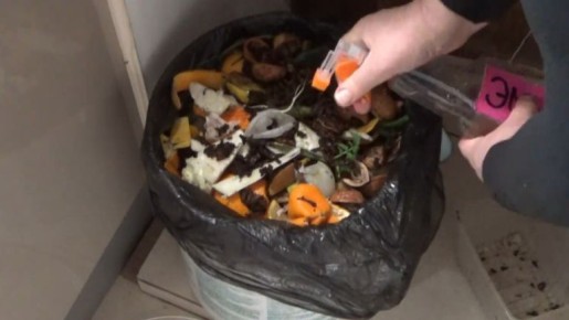 Эффективные рецепты борьбы с вредителями: натуральные средства из кухонных остатков