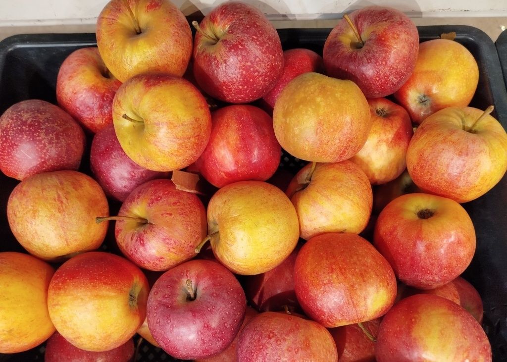 Обзор популярных сортов яблок: от классики до новых находок