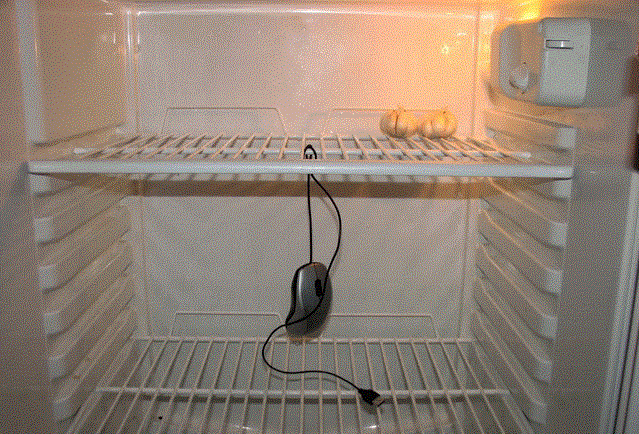 Как поддерживать чистоту в холодильнике летом: советы экспертов