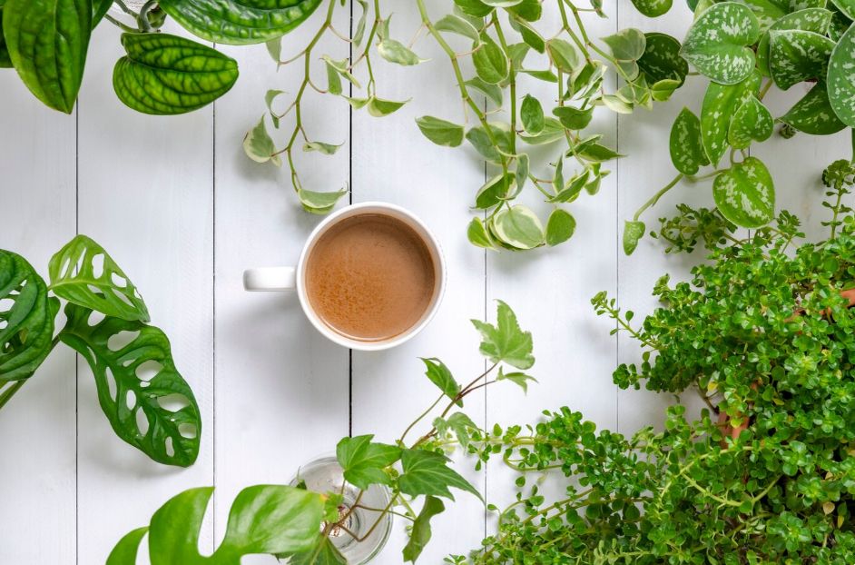 ����������� ������� ��� � ���� � �������� ���������