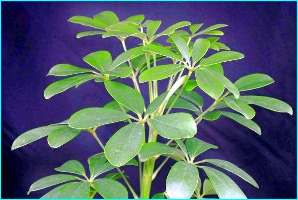 �������: ��� �������� ������ � ���� � ������ ������ ������ ����