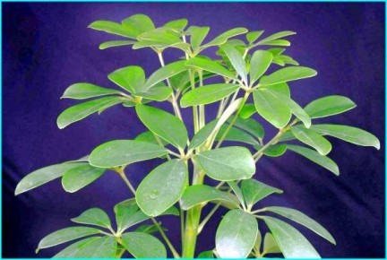 �������: ��� �������� ������ � ���� � ������ ������ ������ ����