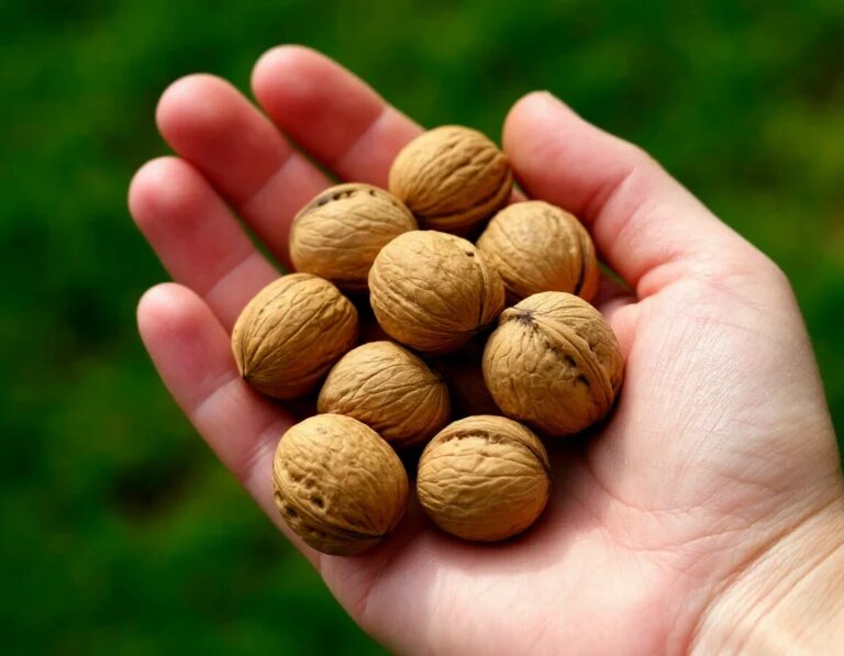 Как сохранить ясность ума: советы нутрициолога