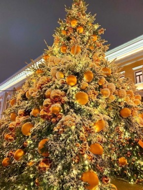 Мандарины: символ зимних праздников и волшебства в Москве