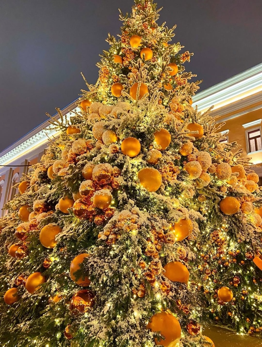 Мандарины: символ зимних праздников и волшебства в Москве