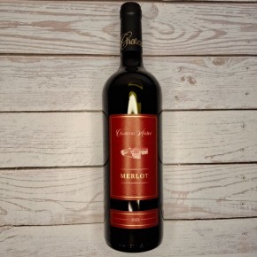 ���� �� ���� �����: ����� 2023 ��� ����� ����� � ��������� ������