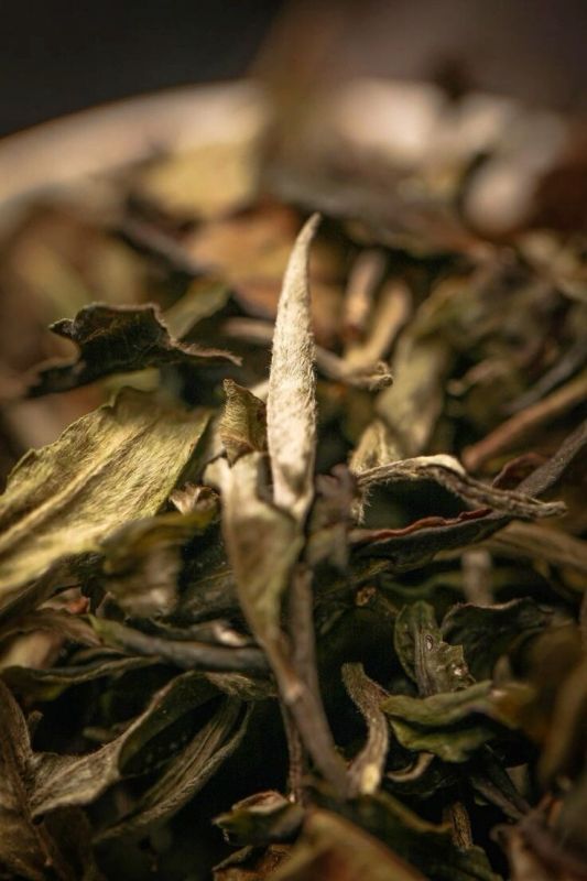 Tайны чая: как климат формирует уникальный вкус каждого сорта