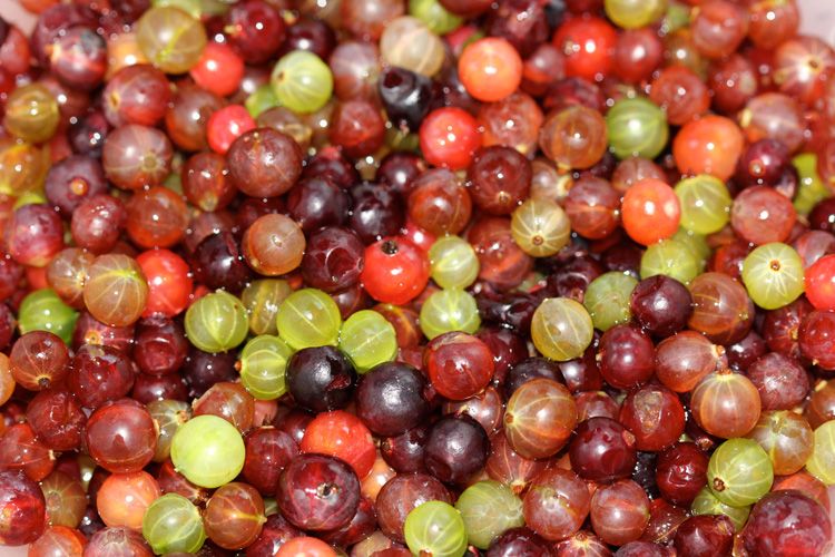 Крыжовник: здоровья кладезь и кулинарный фаворит