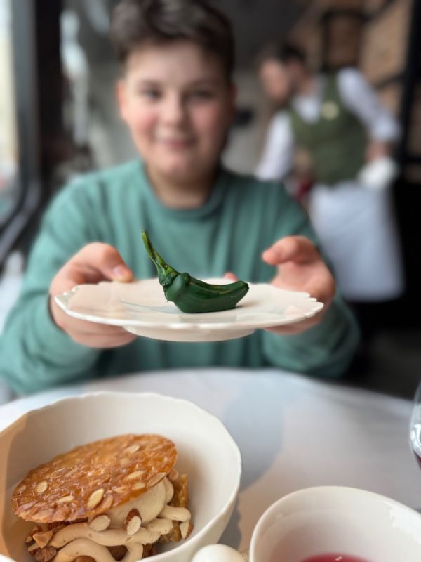 ������� ���������������� ����������� � ��������� Padron