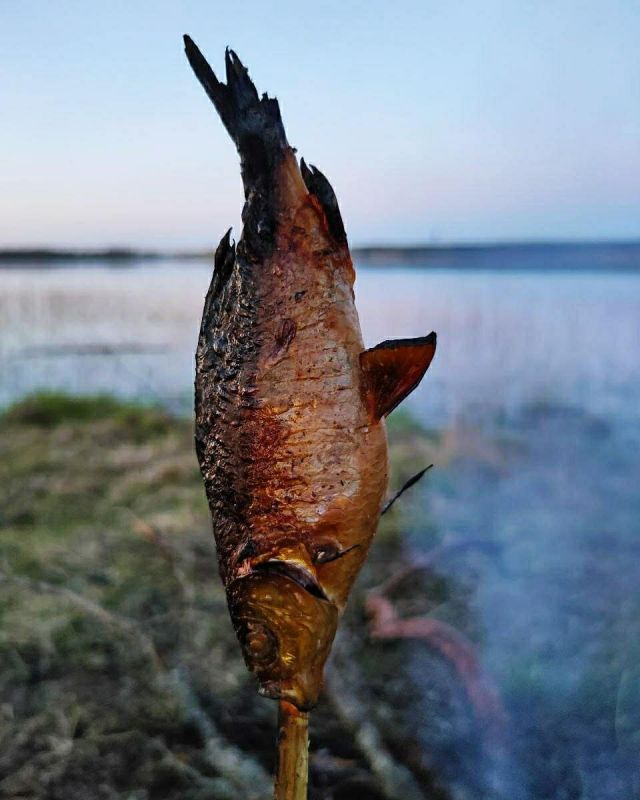 Рыба на прутиках