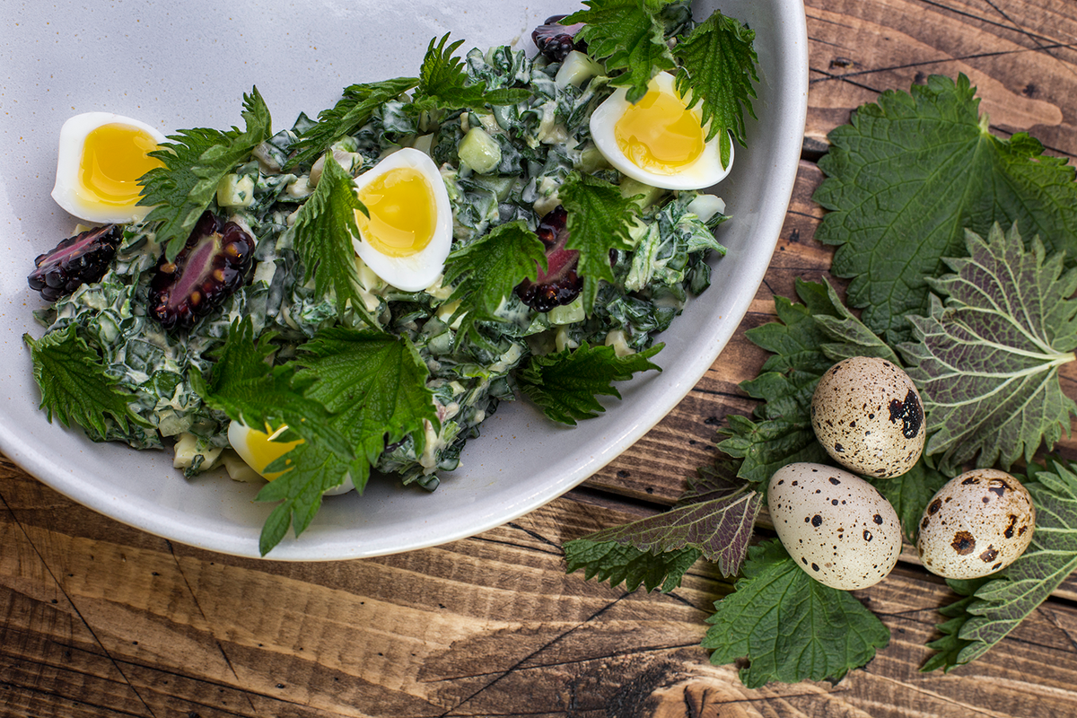 Яркий салат с крапивой: вкусный рецепт от шефа