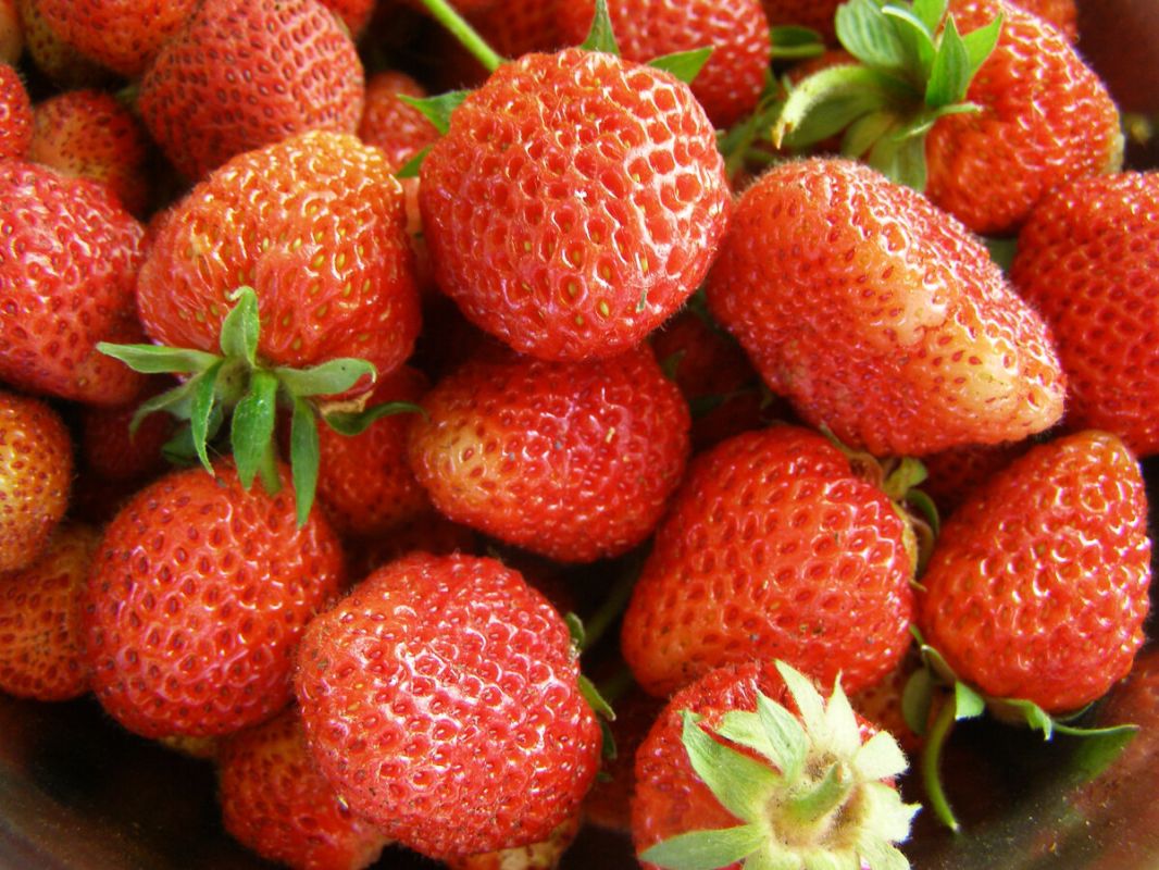 ���������� ���������: ���� ���� �� ���� � ������ �����