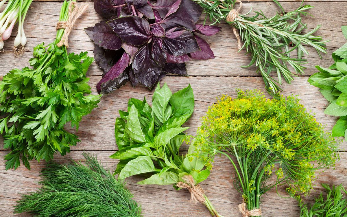 ������: ������� ���������� �� ����� �����