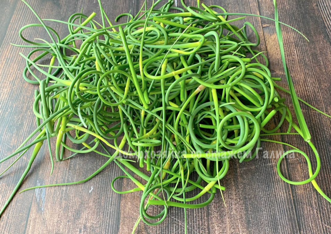 ��������� �����: ������� ������ ��������� ������