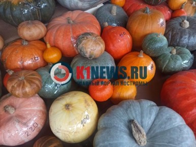 ��������� ����: �������� � ��� �� ������� ���������