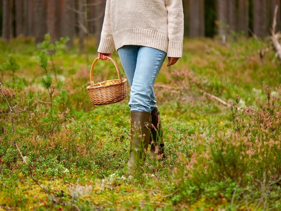 ������� ���: ����� ������� ����� ����� �������� ������