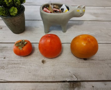 �����: ������������ ���� ������ ��� �������� ��������