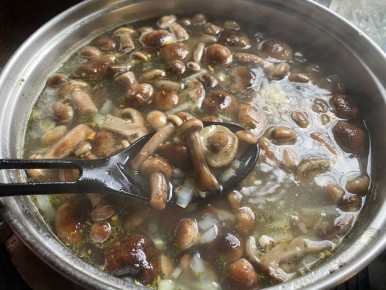 ��������������� ������� ���: ������� ������������ �������