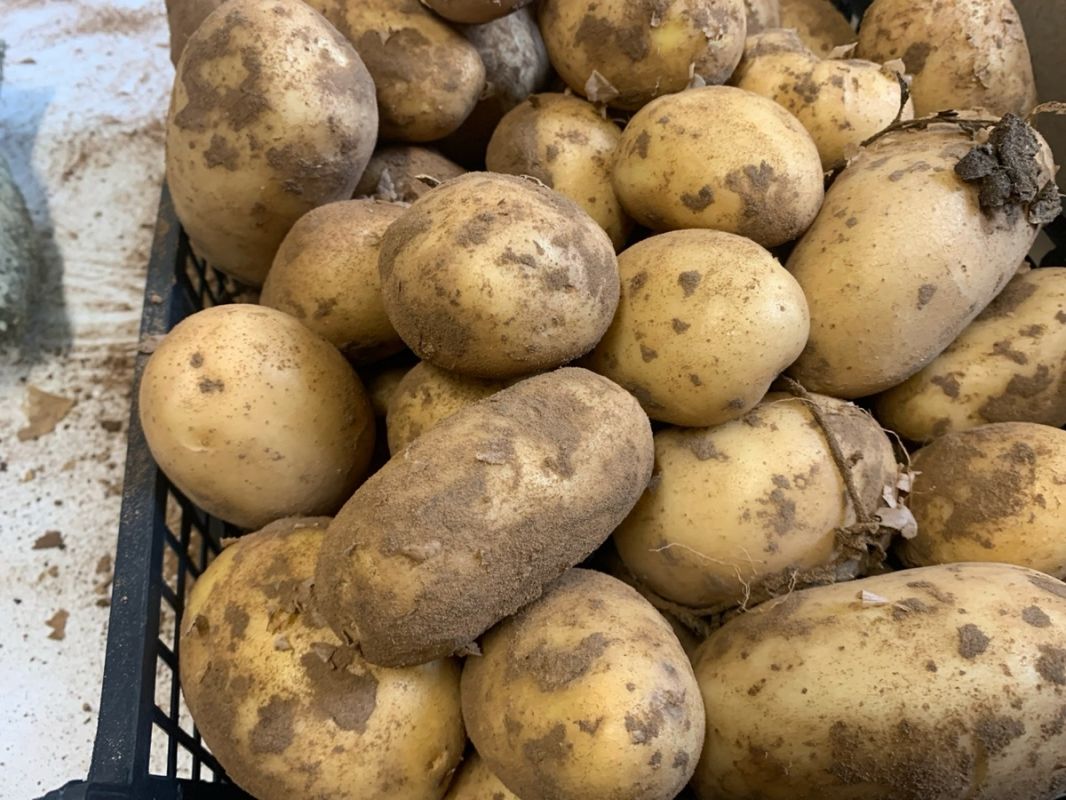 ������ �� ����� �������� ������������ ���������?