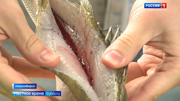 ������� � ������: ����� ��������� ������������ � ������ ���������