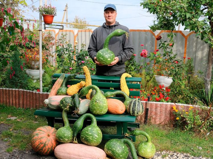 �������� ������� ������ ��������� ������ � ������������� �������