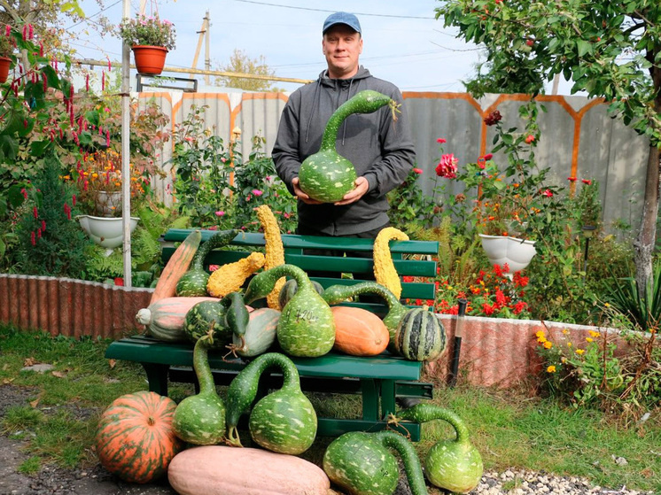 Липецкий аграрий удивил рекордной тыквой и экзотическими сортами