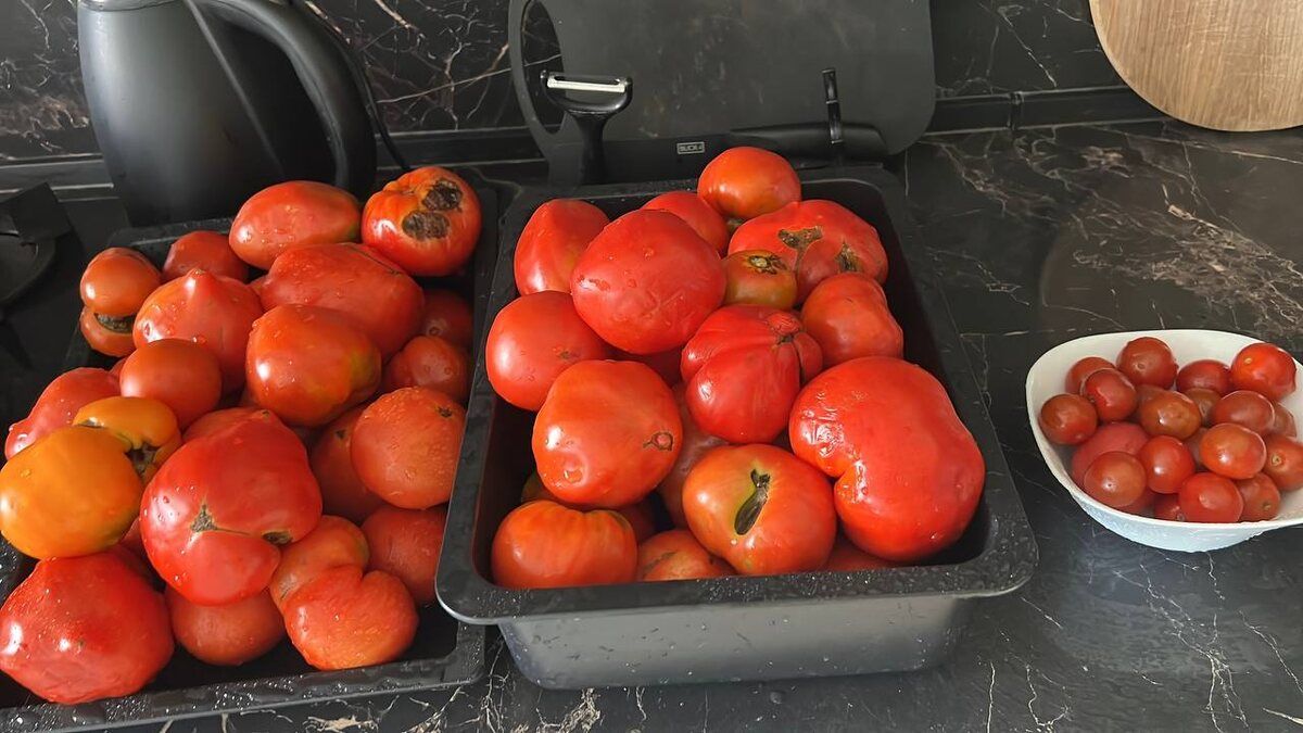 �������� ��� �� ����: ������� � ������� ������