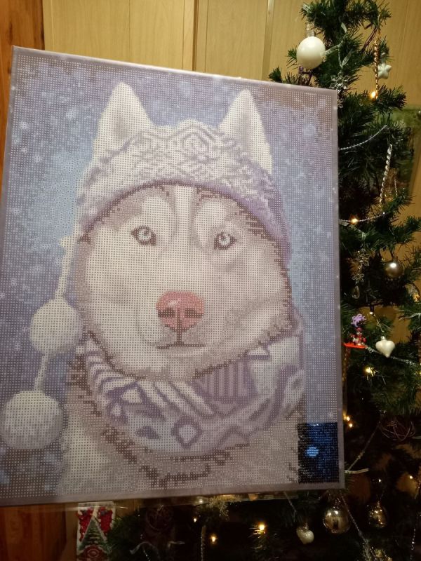 ���-������� ��� ����: ��� ����� �������� �� Wildberries