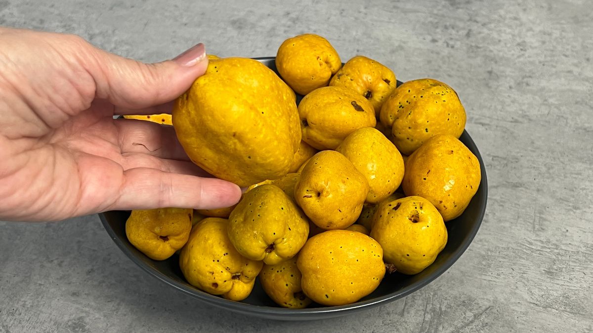 ��� �� �������� ���� ������� ���������� ������ �� ����