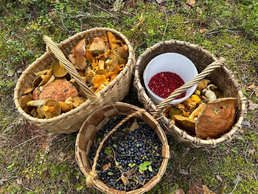 ����� ����������� ������: ��� ������� � ����� ����� ������