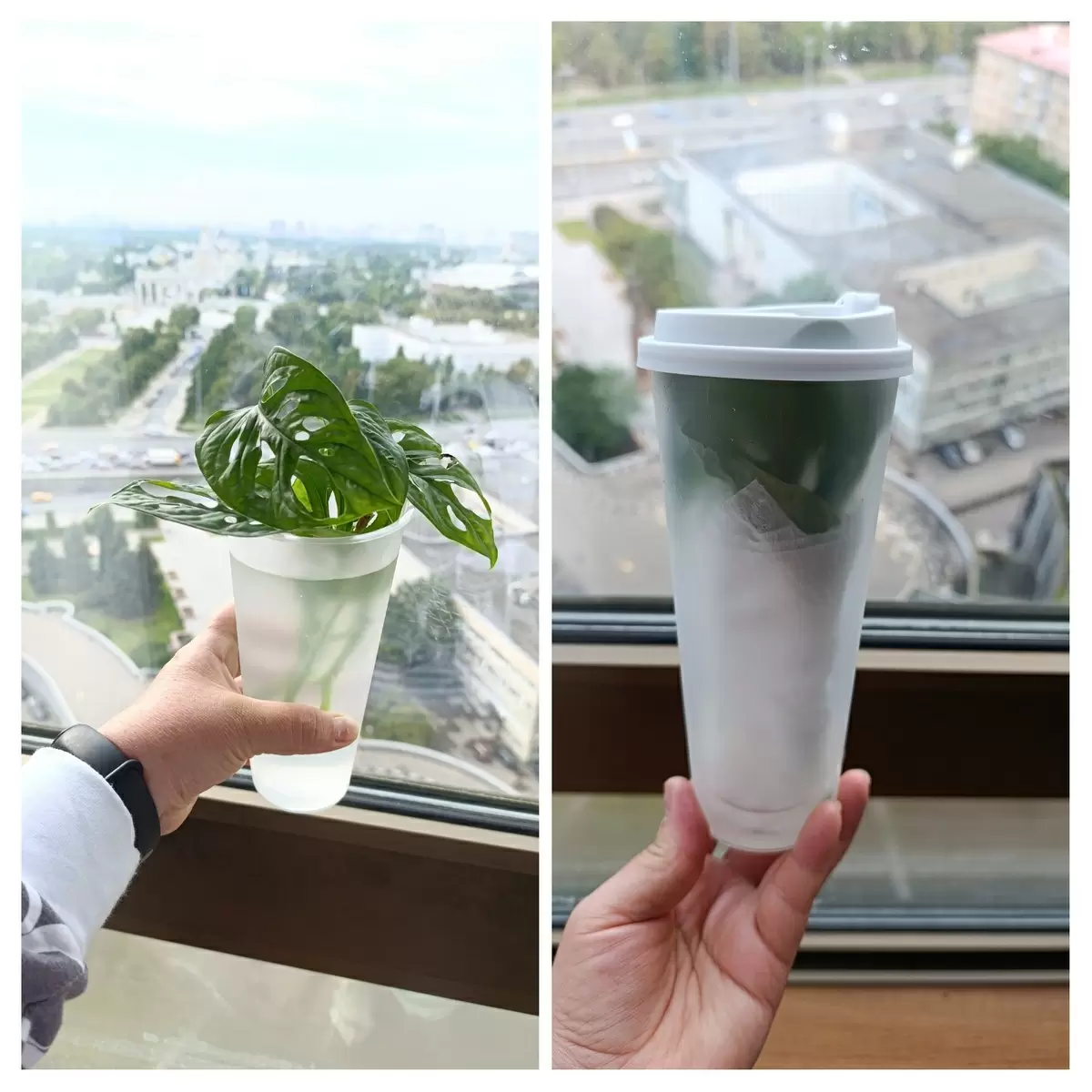 Мир замороженных продуктов: полезные советы и распространенные заблуждения